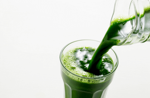 All About Wellness Culture