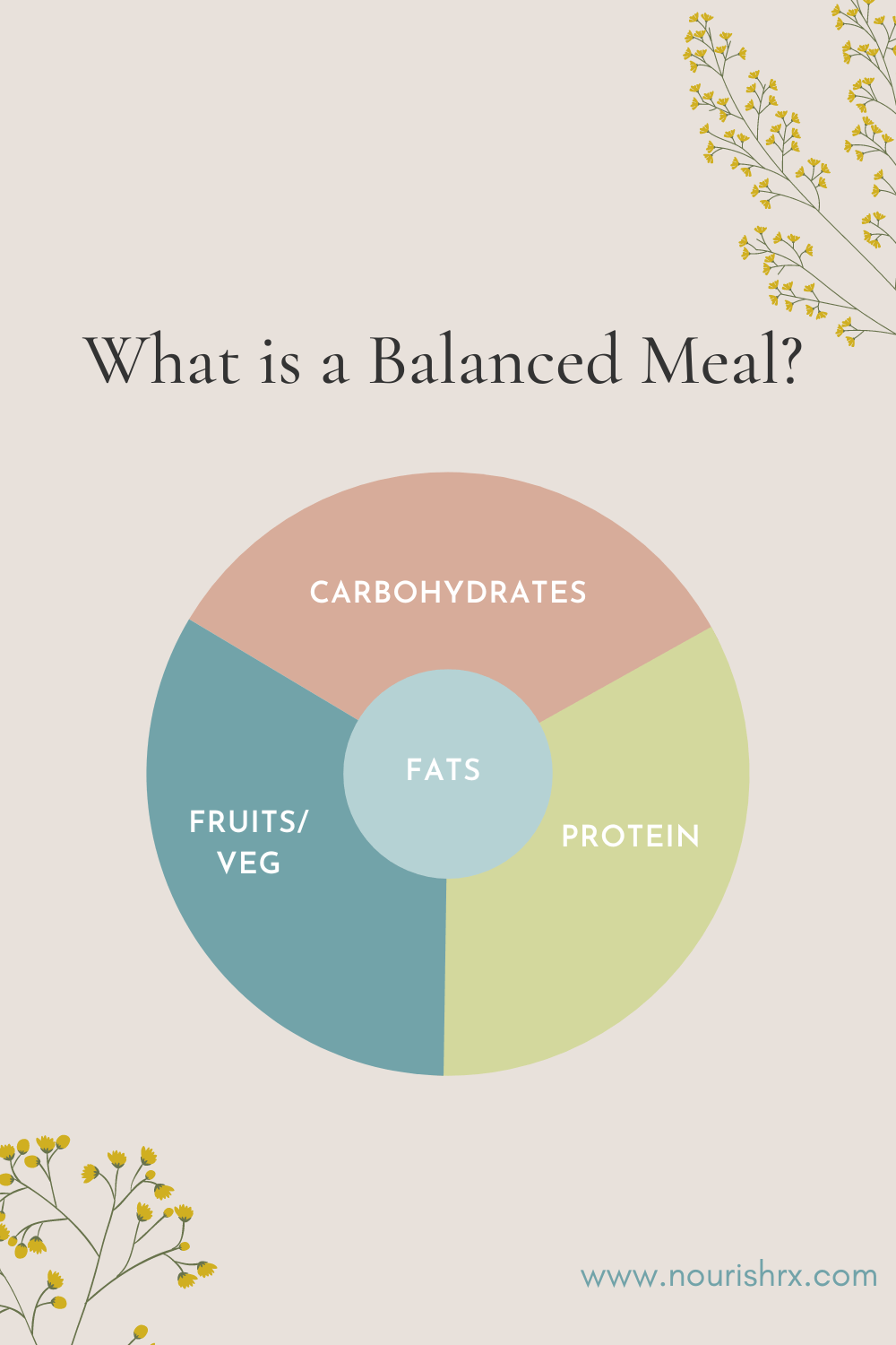 What is a Balanced Meal?